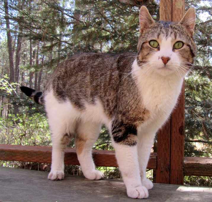 Photo of Simon, Super Chill!