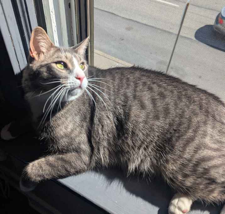 Photo of Buddy