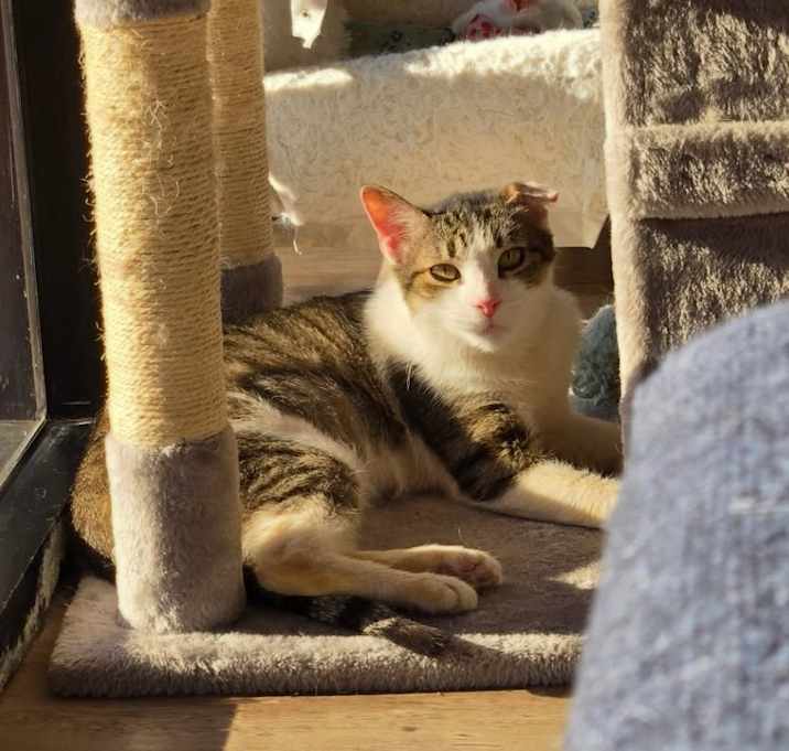 Photo of Skipper