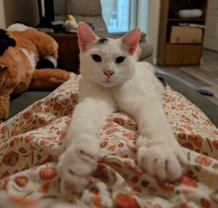 Photo of Pinkie