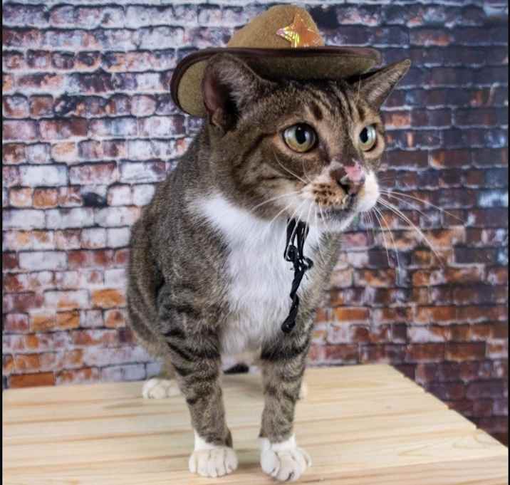 Photo of Stan