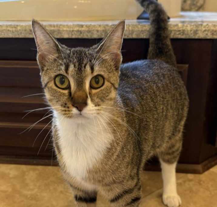 Photo of Lucy Sue