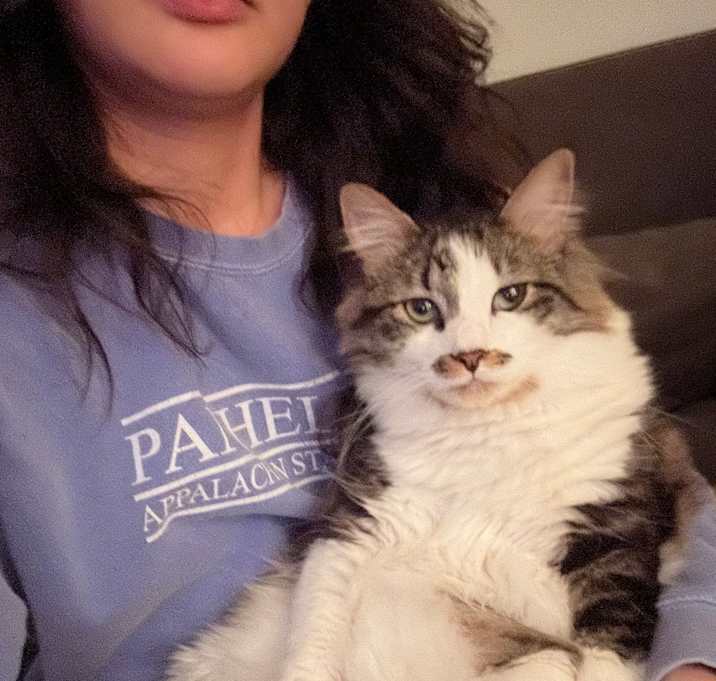 Photo of Oliver