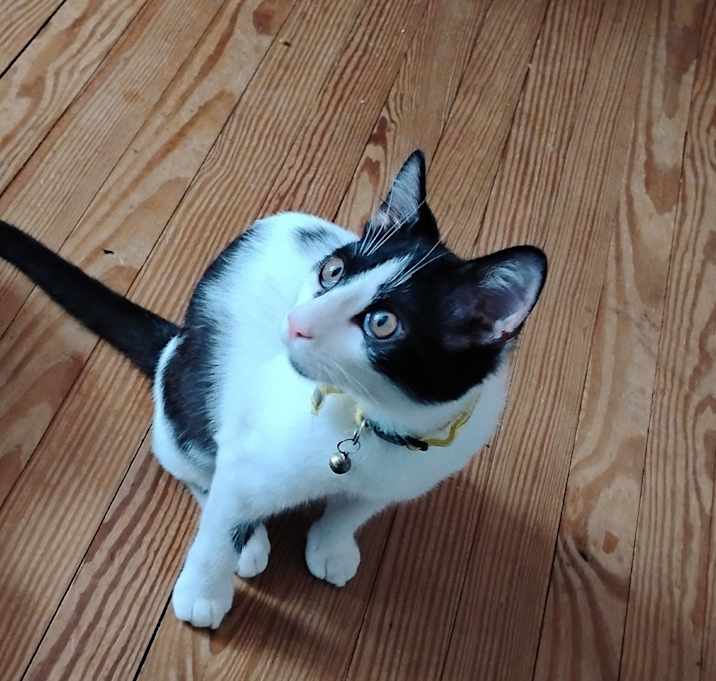 Photo of Charlie
