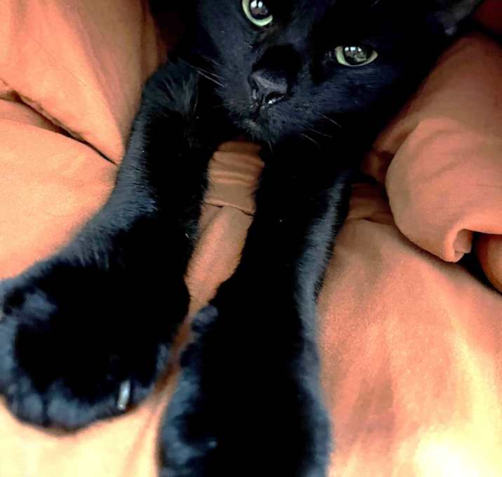 Photo of Mia