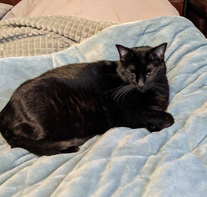 Photo of Evie