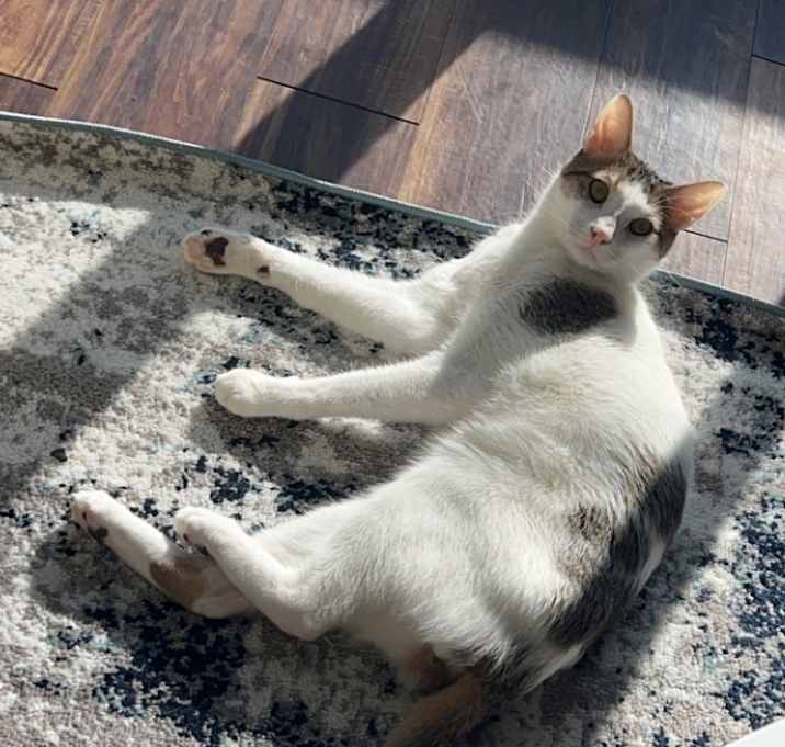 Photo of Finn
