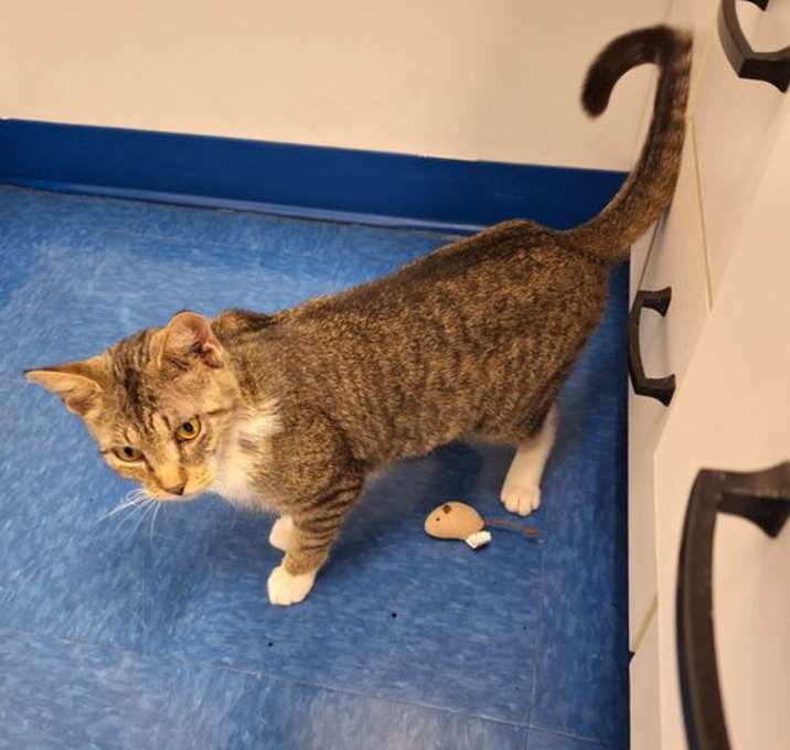 Photo of Lazarus