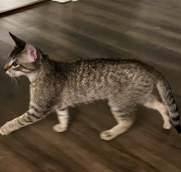 Photo of Little Boy
