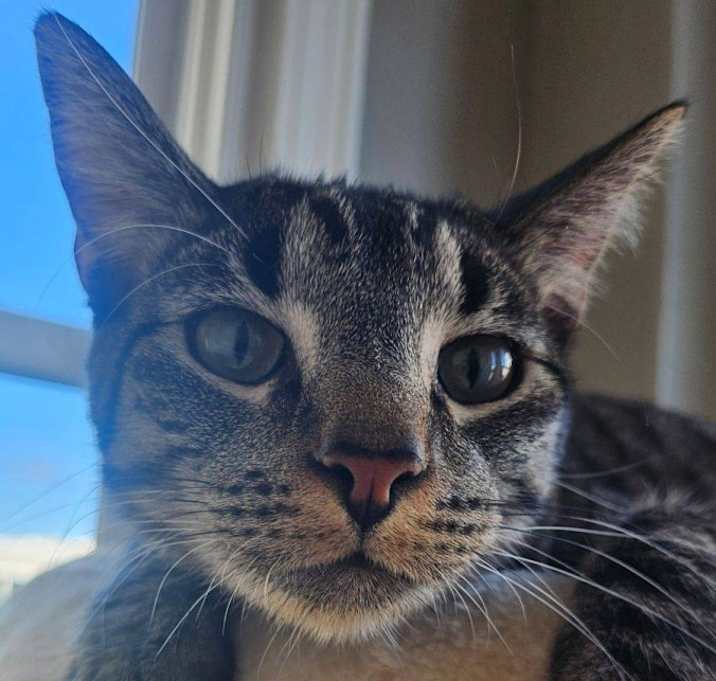 Photo of Leo