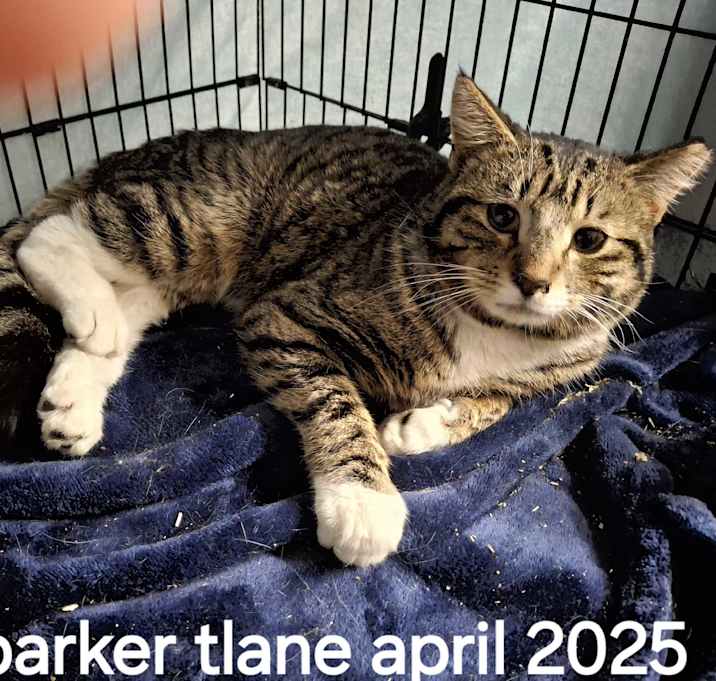 Photo of Parker