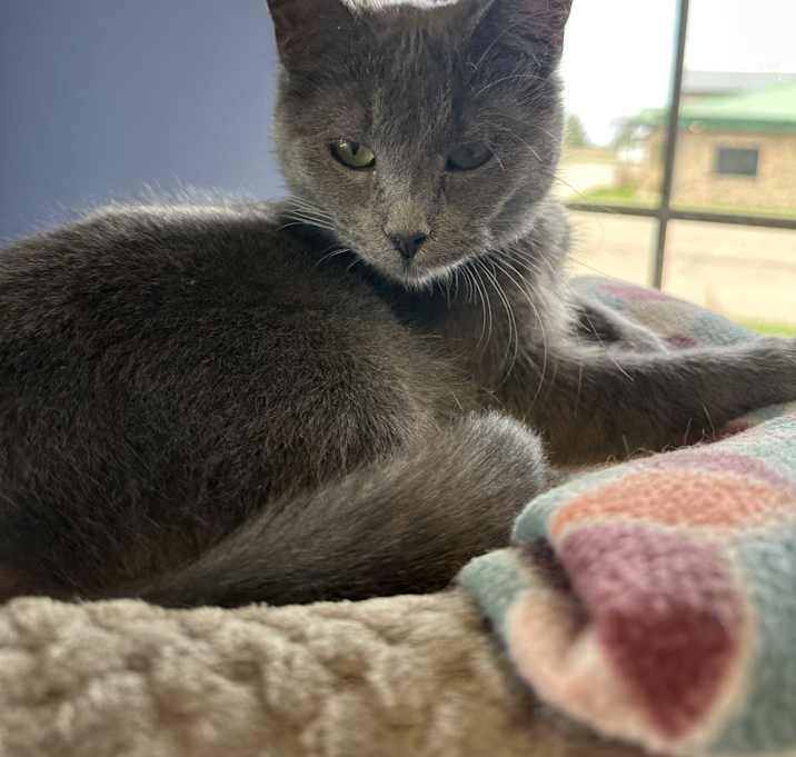 Photo of Tundra