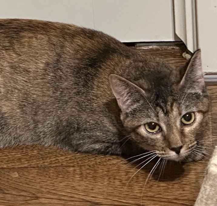 Photo of Martha