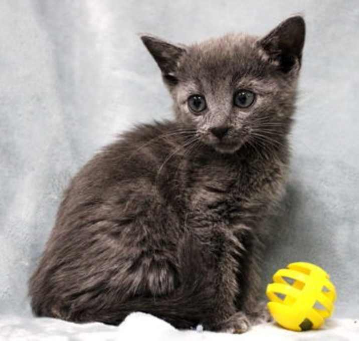 Photo of Storm