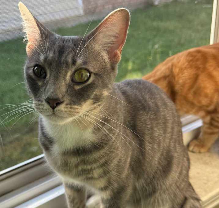 Photo of Jasper