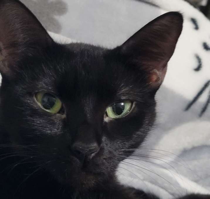Photo of Batzy