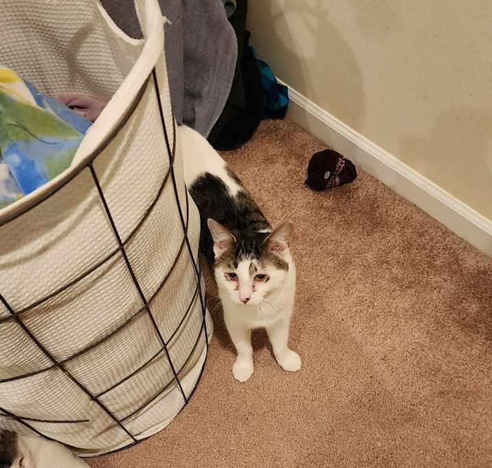 Photo of Norbert
