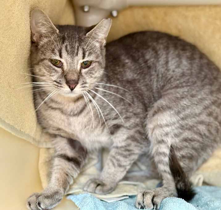 Photo of Junior (C11)