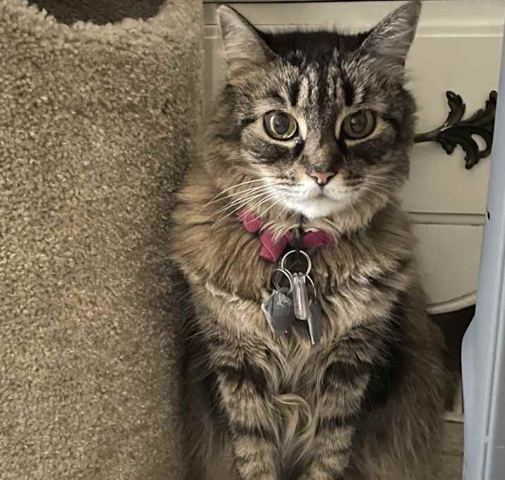 Photo of Misty