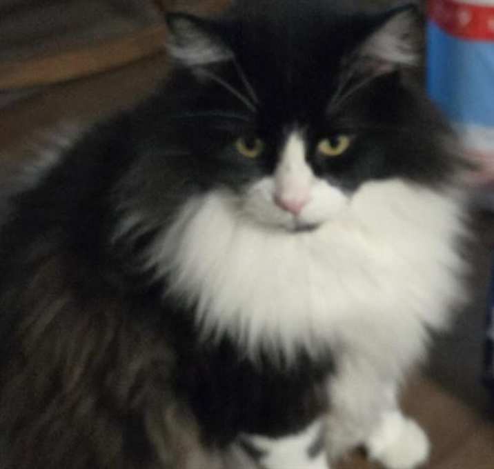 Photo of CHARLIE