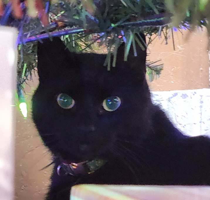 Photo of Sam