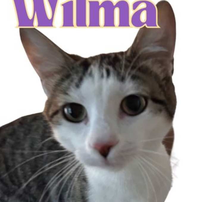 Photo of Wilma
