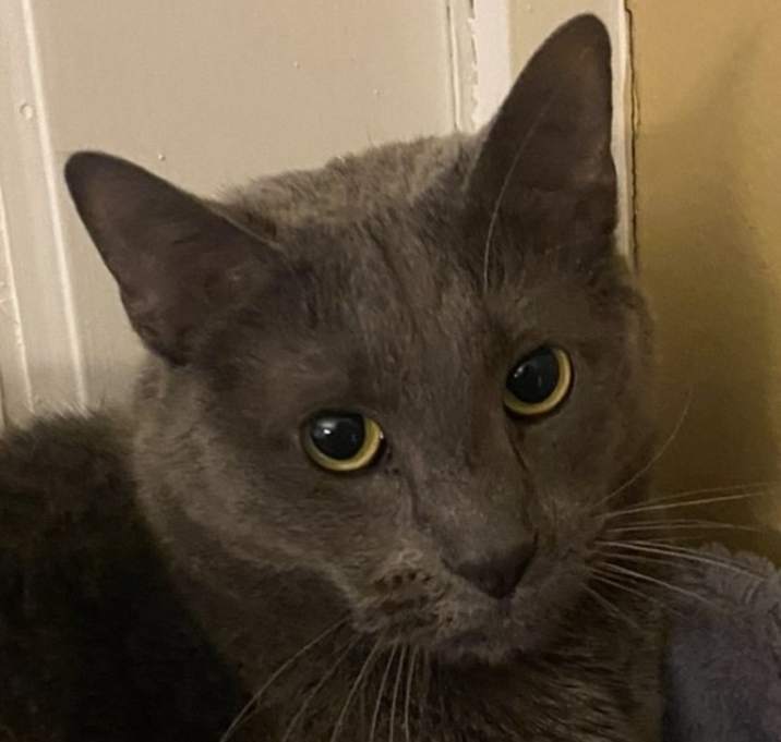 Photo of Zeus