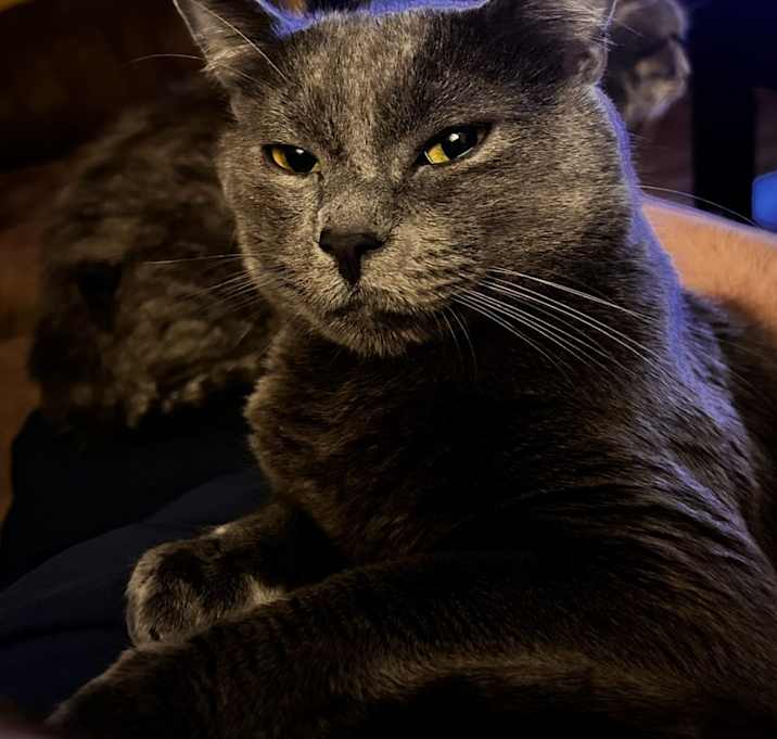 Photo of Hades