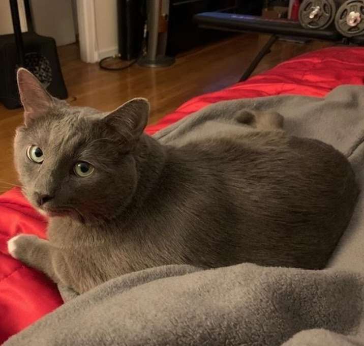 Photo of Jasper