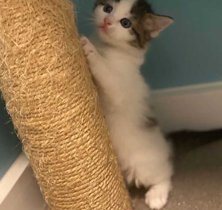 Photo of Kira