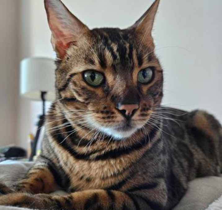 Photo of Luther