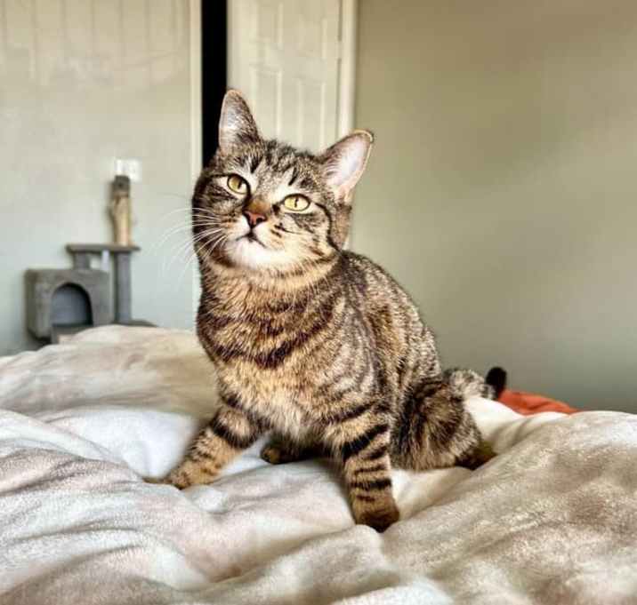 Photo of Star