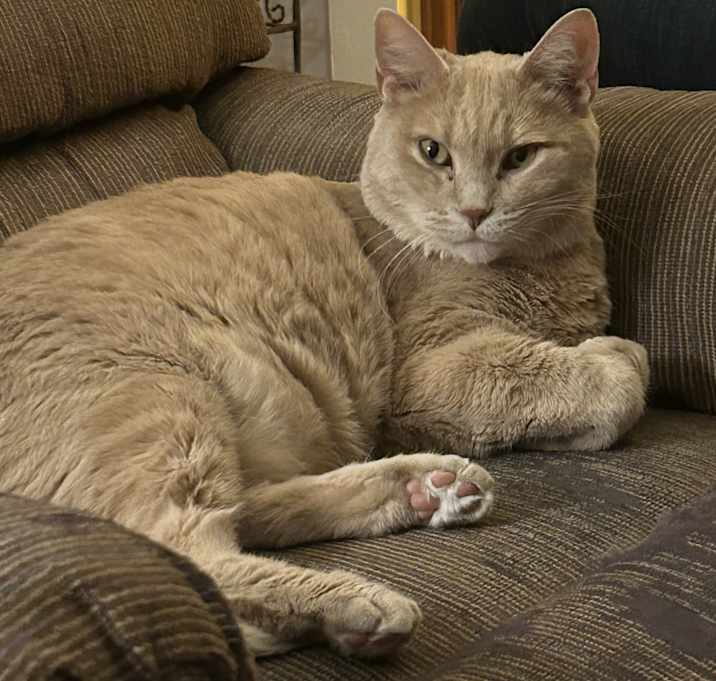 Photo of Bruno