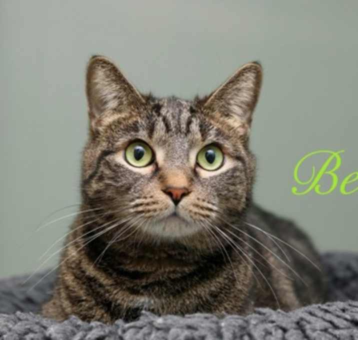Photo of Bean