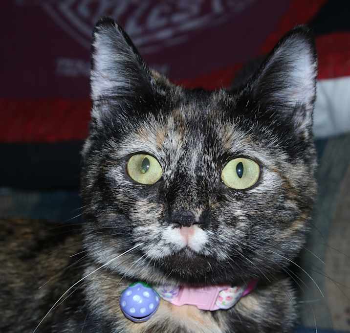Photo of Macy