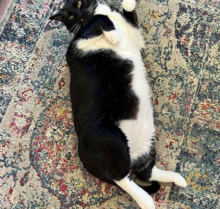 Photo of Billy