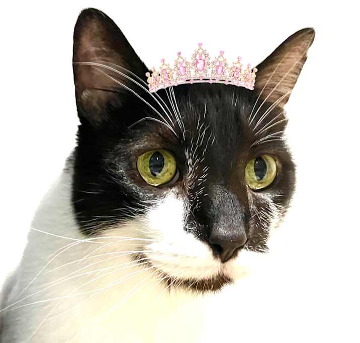 Photo of Princess