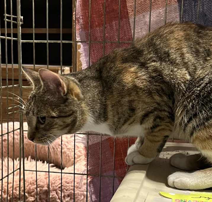 Photo of Tabitha