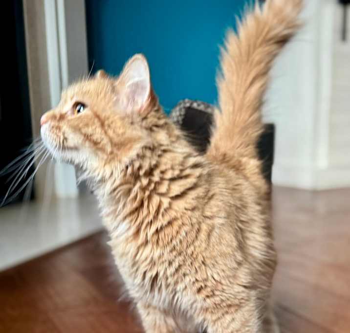 Photo of Hannah