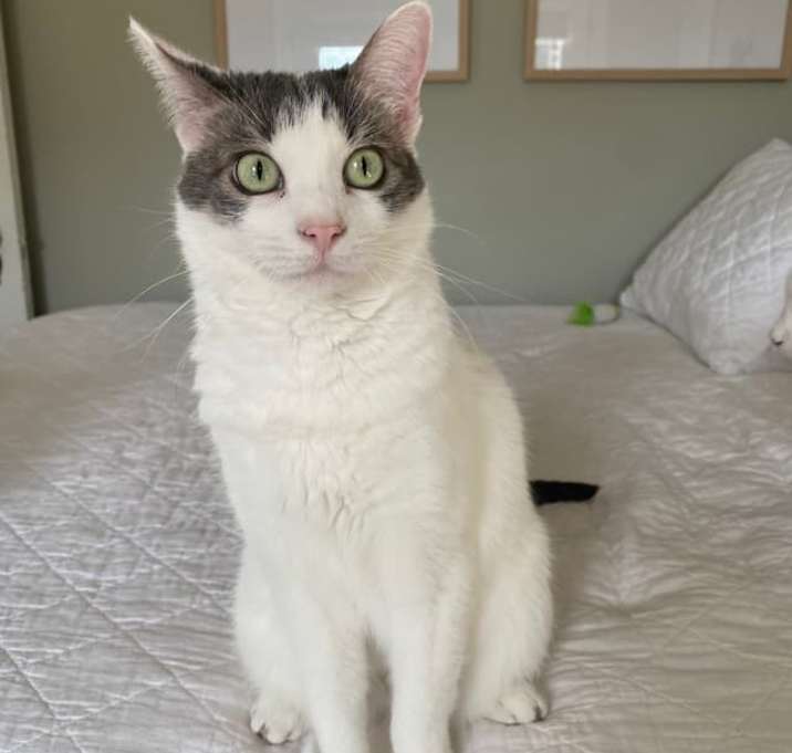 Photo of Miss Daisy