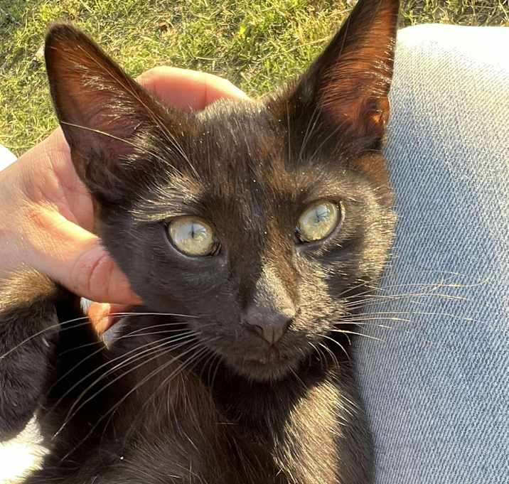 Photo of Penelope