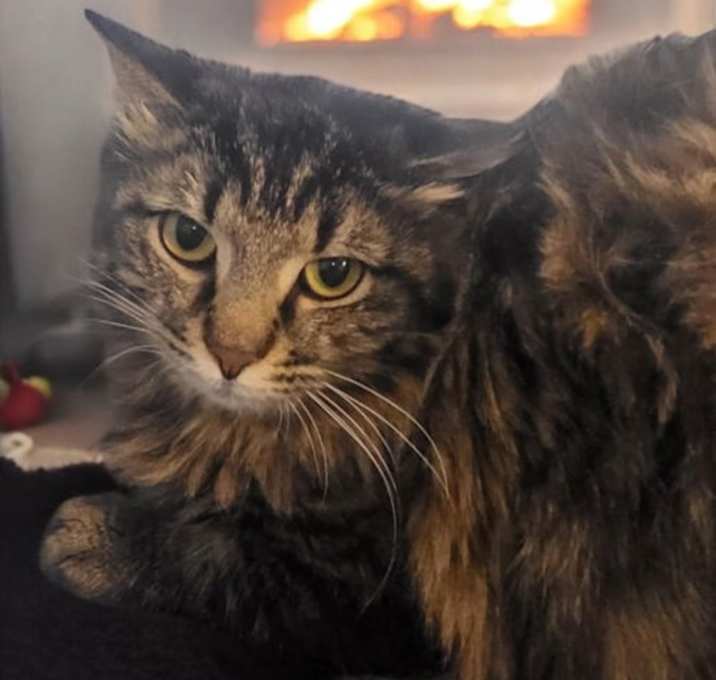 Photo of Quincy
