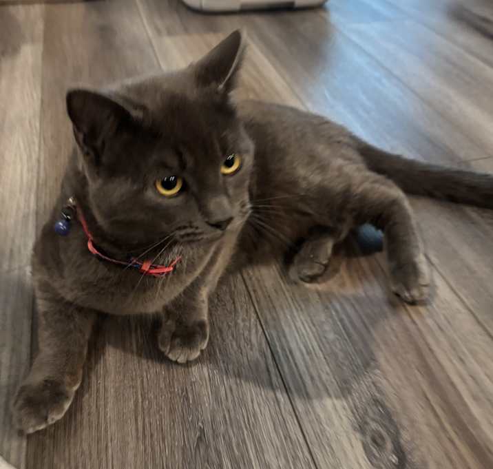 Photo of Parker