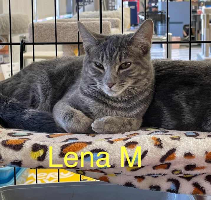 Photo of Lena M