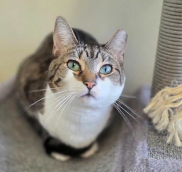 Photo of Artemis
