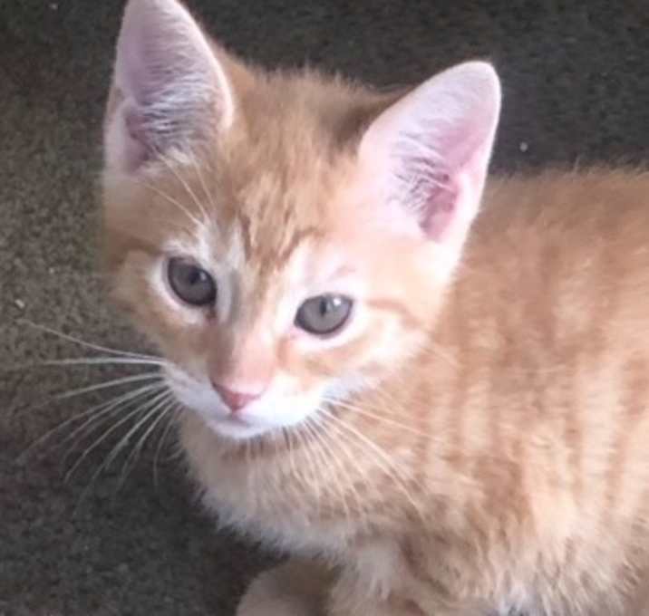 Photo of Sam