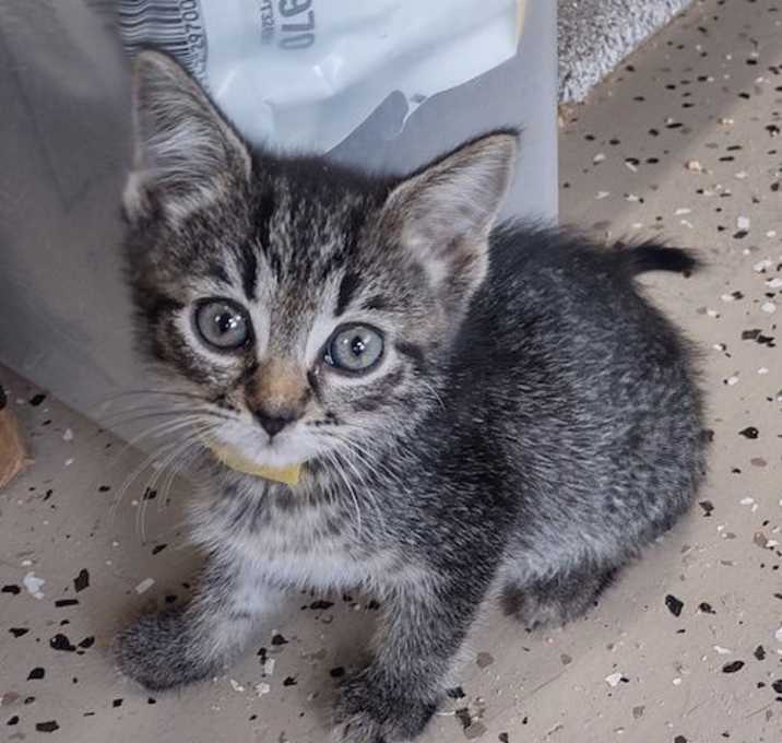 Photo of Enid