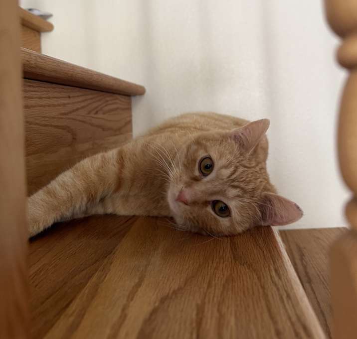 Photo of Chili