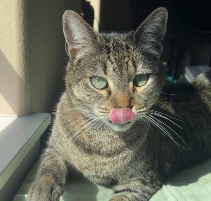 Photo of Mae Mae
