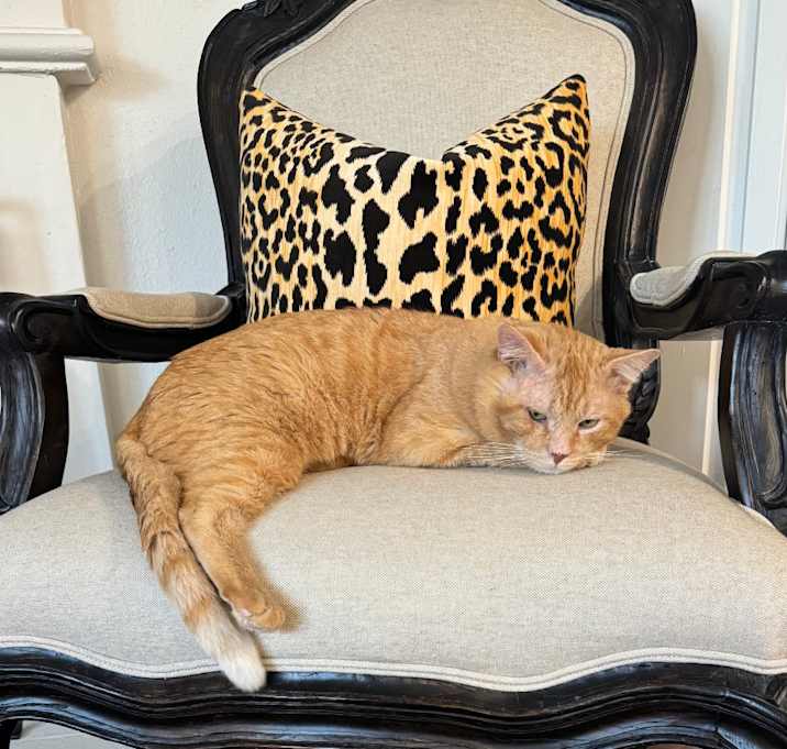 Photo of Henry
